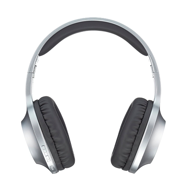 Bluetooth Навушники Panasonic RB-HX220BEE-S Silver