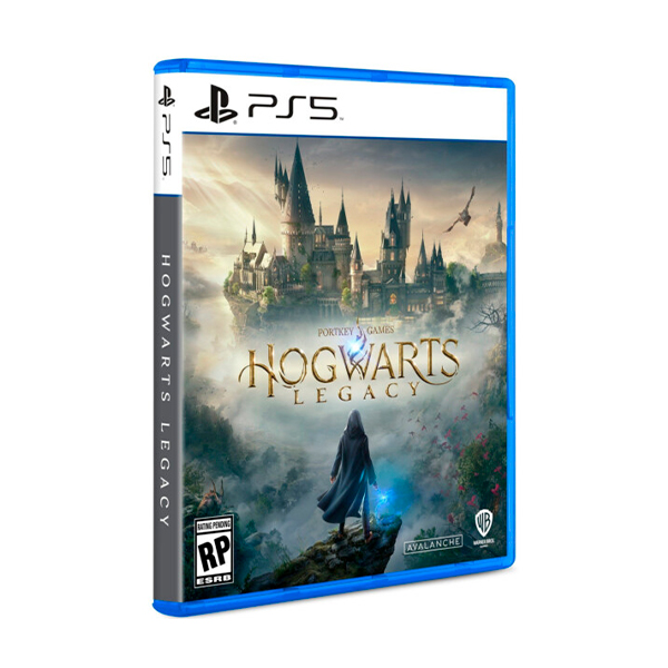Игра для Sony Playstation 5 Hogwarts Legacy PS5 (5051895413425)