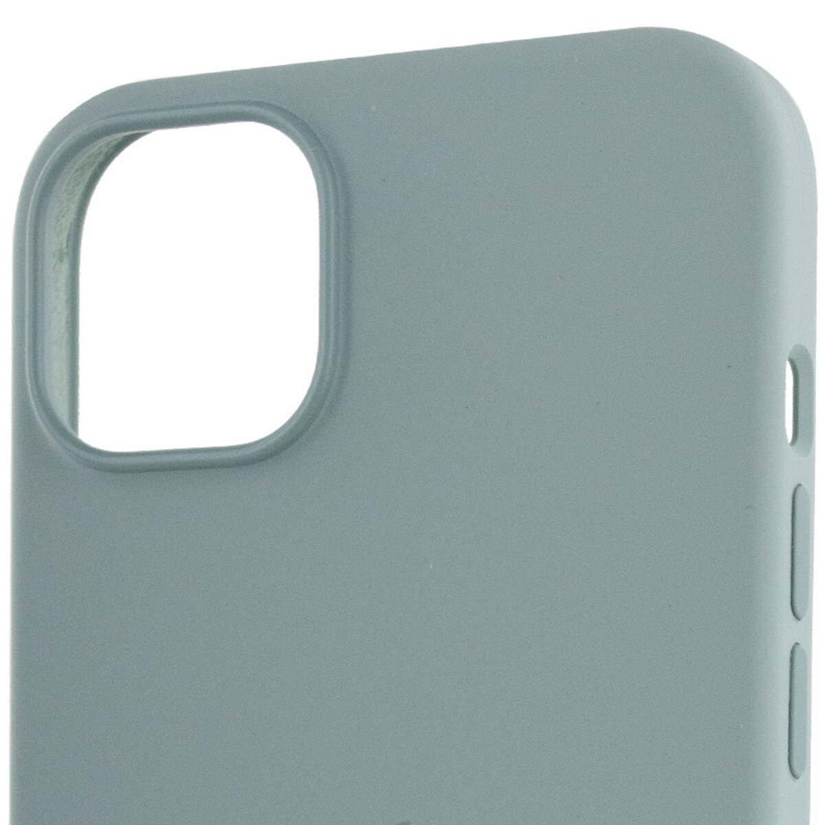 Чохол для смартфона Silicone Full Case AAA MagSafe IC for iPhone 14 Succulent