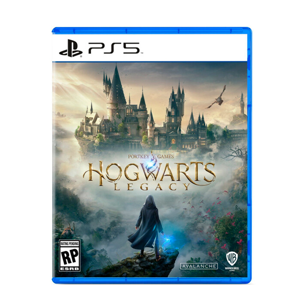 Гра для Sony Playstation 5 Hogwarts Legacy PS5 (5051895413425)