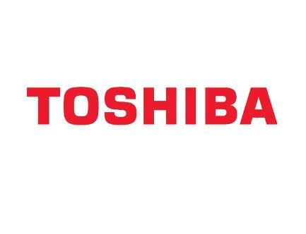 Сепаратор SCRAPER 6LA79618000 TOSHIBA