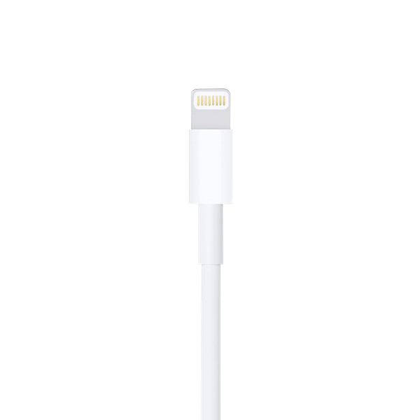 Кабель Apple Lightning to USB Cable 0.5m (ME291ZM/A)