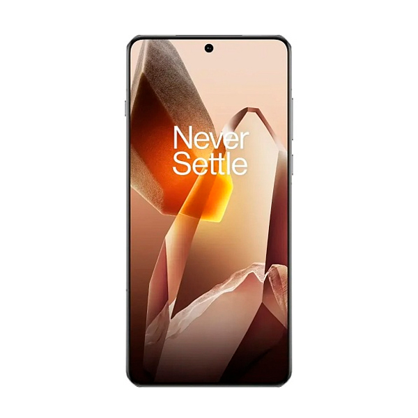 Смартфон OnePlus 13 16/512Gb Arctic Dawn Global Version