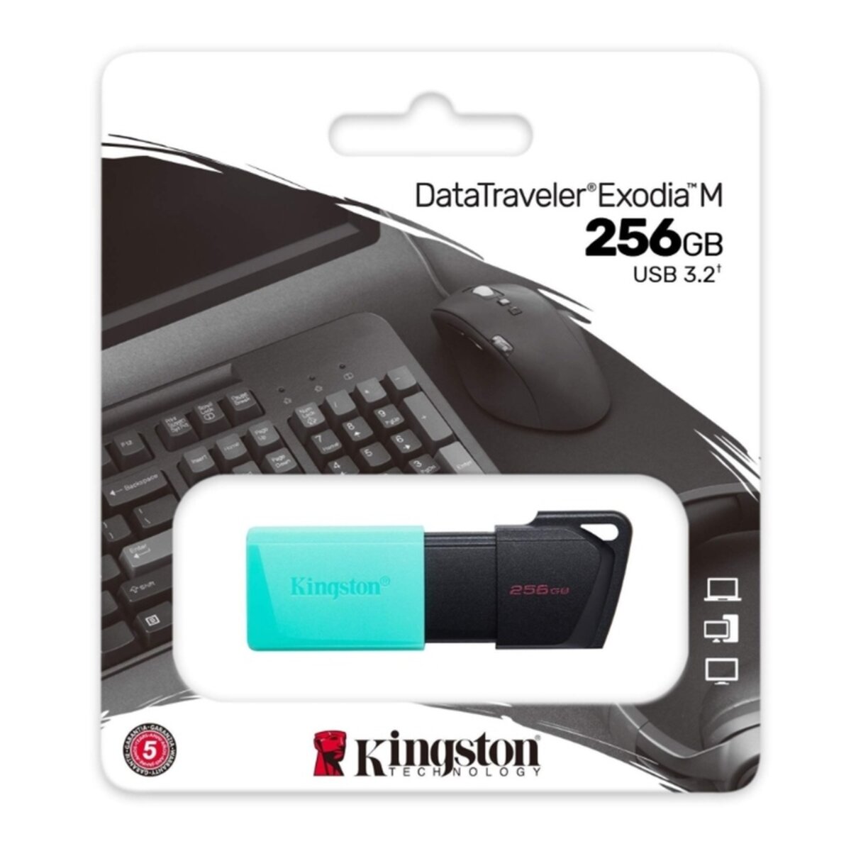 Флеш-накопичувач Kingston USB 3.2 DT Exodia M 256GB Black/Teal