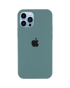 Чехол Soft Touch для Apple iPhone 13 Pro Cactus