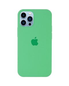 Чохол Soft Touch для Apple iPhone 13 Pro Spearmint