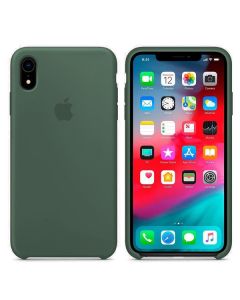 Чохол Soft Touch для Apple iPhone XR Cactus