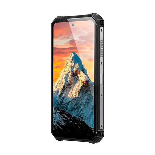 Смартфон Oukitel WP19 Pro 8/256GB (black)