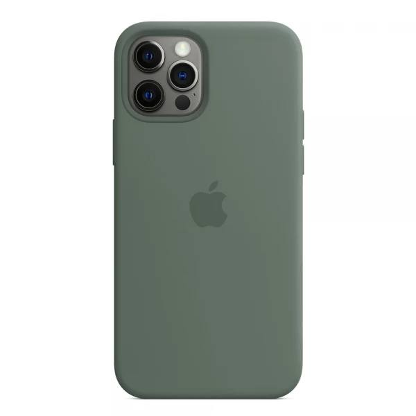Чохол Soft Touch для Apple iPhone 12 Pro Max Cactus