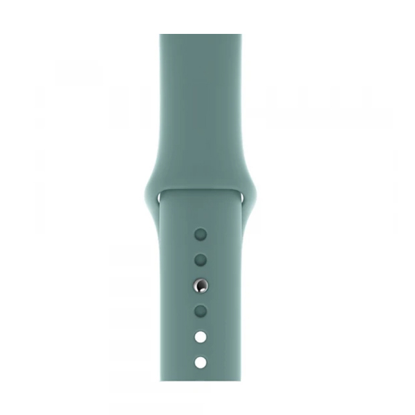Ремінець для Apple Watch 38mm/40mm Silicone Watch Band Cactus