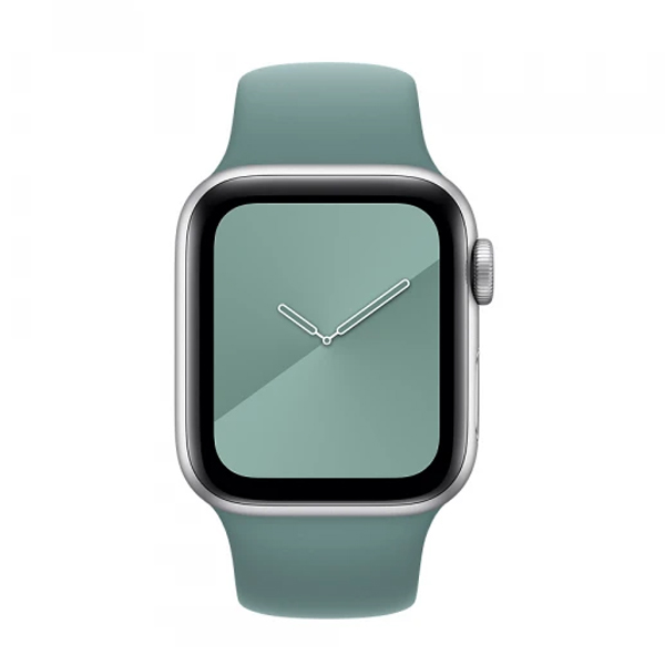 Ремешок для Apple Watch 38mm/40mm Silicone Watch Band Cactus