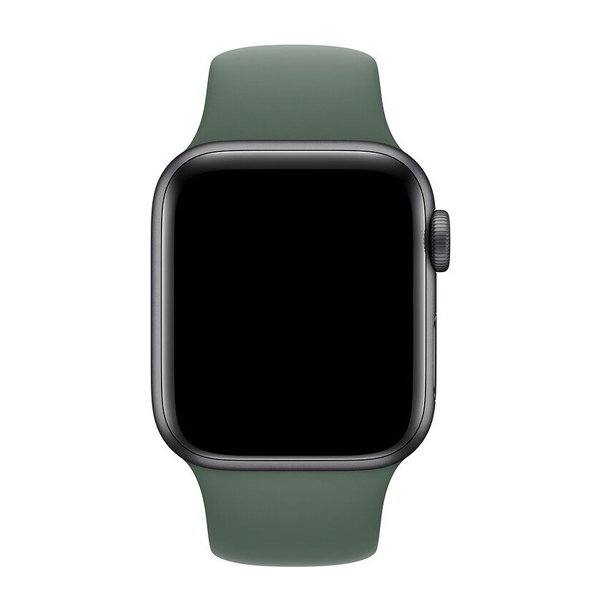 Ремешок для Apple Watch 42mm/44mm Silicone Watch Band Pine Green