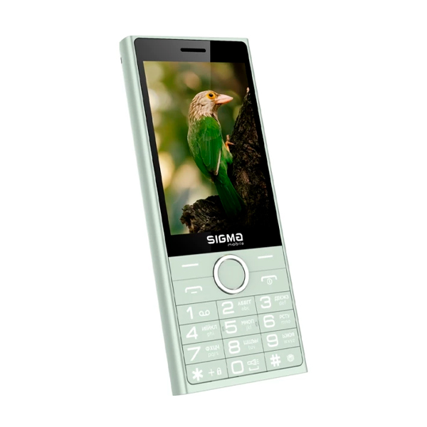SIGMA X-style 353 TREND (mint)